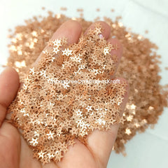 Rose Gold Sequins Star